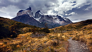 far photo of grass field and rock mountain