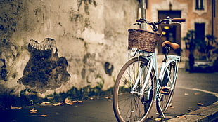 blue and white city bike, bicycle HD wallpaper