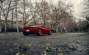 red Ferrari 458 Italia coupe, Klässen iD, Ferrari, Ferrari 458 Italia HD wallpaper