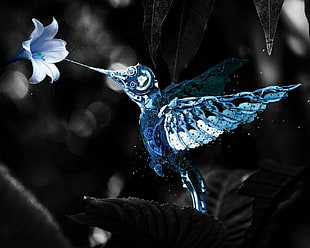 blue and white hummingbird figure, machine, digital art, selective coloring, birds HD wallpaper