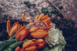 two silver-colored rings, Tulips, Rings, Flowers HD wallpaper