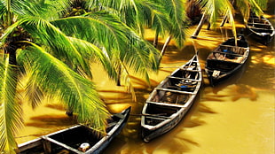 brown canoe boat, nature, water, boat, river HD wallpaper
