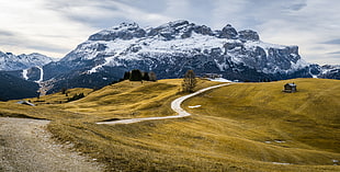 green grass field on top of mountain with brown wooden house, dolomites, alta badia, italy HD wallpaper