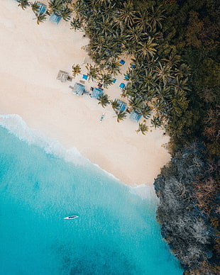 aerial photograph of cottage near shoreline, nature, water, beach, trees