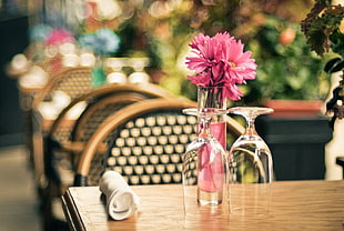 pink Daisies in vase and two upside-down wine glasses on brown table HD wallpaper