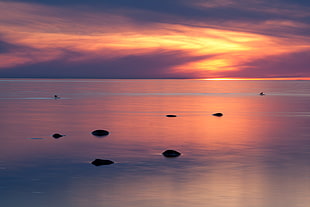 rocks submerged in water during sunset HD wallpaper