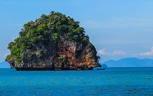 green leafed tree, nature, landscape, sea, boat HD wallpaper