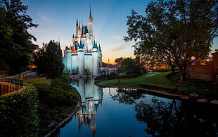 reflection of castle on calm body of water during daytime HD wallpaper