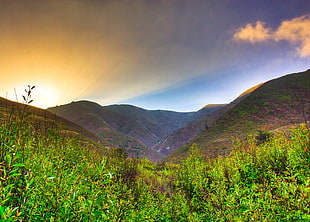 aerial view of mountain under the sunrise