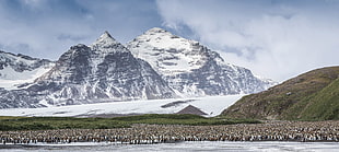 snow capped mountain