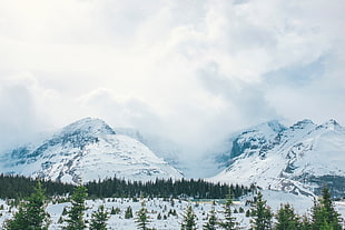 mountain alps surrounded with green trees