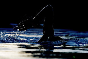 person swimming on body of water