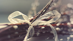 selective focus photo of brown twigs with ribbon bow HD wallpaper