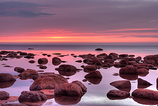 gray rocks in body of water