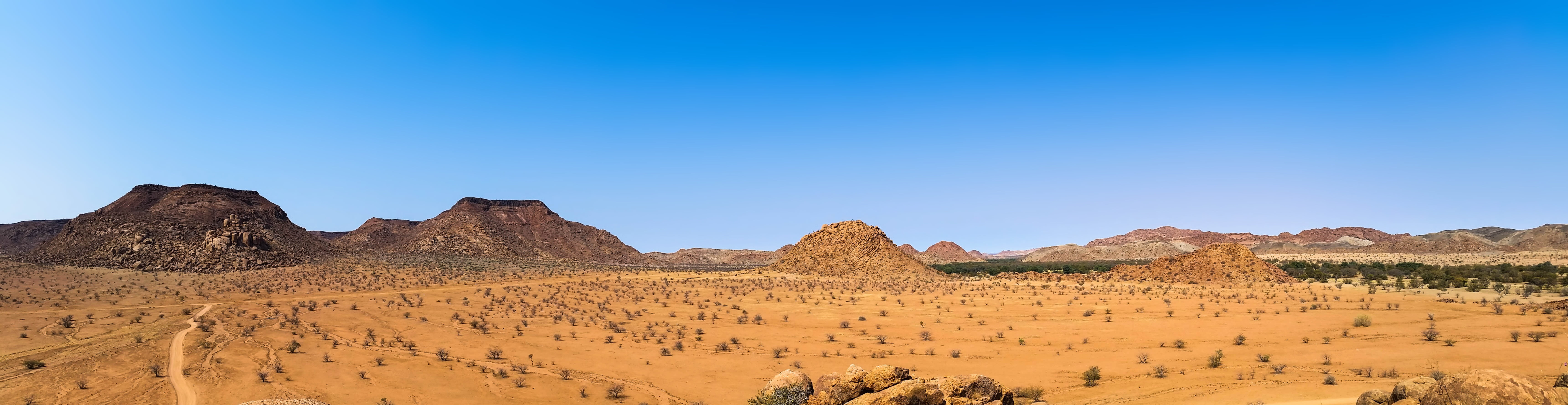 landscape photography of desert