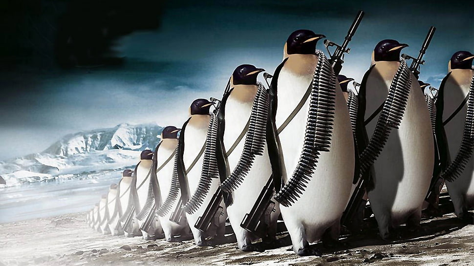 penguins inline with rifles wallpaper HD wallpaper