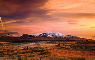 brown grass field, landscape, Iceland, mountains, sunset HD wallpaper