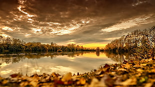 body of water during sunset