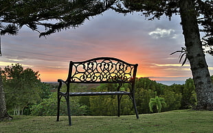 black ornate cast iron bench on green grass land HD wallpaper