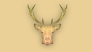 white deer head decor, animals, simple, deer, stags HD wallpaper