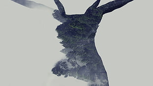 Photoshop, deer, forest, double exposure