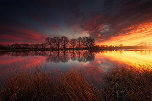 golden hour photo of island