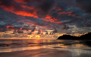 brown sand beach, coast