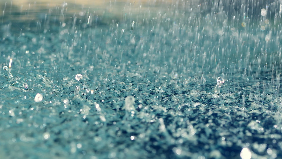 rain drops, rain, depth of field, water, water drops HD wallpaper