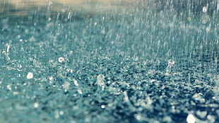 rain drops, rain, depth of field, water, water drops