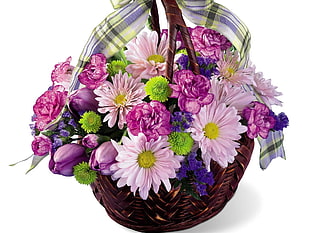 pink and purple flowers in basket HD wallpaper
