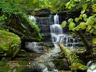 time lapse photo of falls near forest