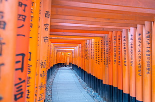 orange-and-black wooden wall, Japan
