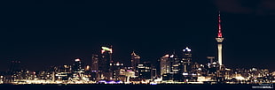 cityscape of high rise building and tower, cityscape, Auckland, New Zealand