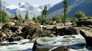 landscape photography of rocky river