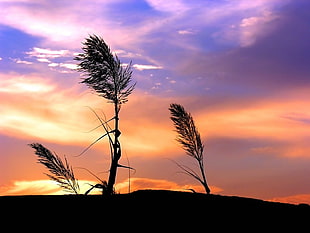 black and white feather pendant, grass, landscape, sunset, clouds