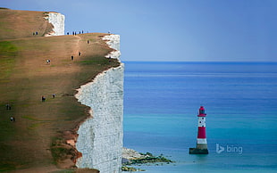 red and white lighthouse, nature, landscape, cliff, England HD wallpaper