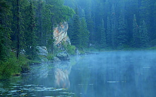 body of water, landscape, nature, lake, blue