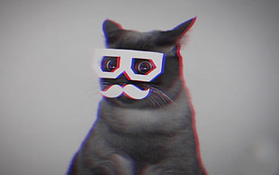 grey cat, cat, moustache, anaglyph 3D, Skifcha HD wallpaper