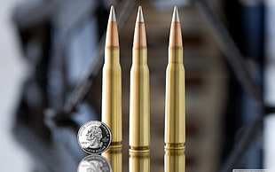 three brass ammunition, ammunition, coins, metal, money HD wallpaper