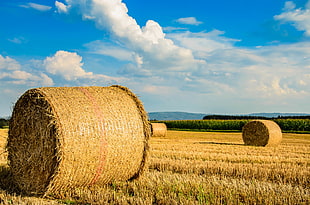 roll of hay at daytime HD wallpaper