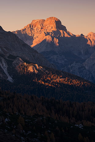 brown mountain, nature, trees, mountains, landscape