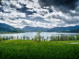 green field near lake under cloudy sky during daytime HD wallpaper