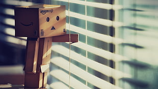 Amazon cartoon box photo, Danbo, Amazon