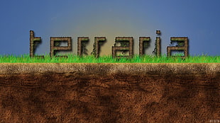 Terraria game application, Terraria, video games HD wallpaper