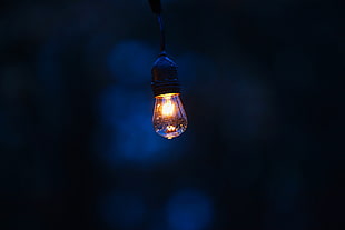 black bulb, Lamp, Lighting, Drops HD wallpaper