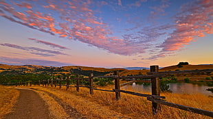 brown wooden fence, nature