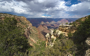 mountains covered with grass at daytime