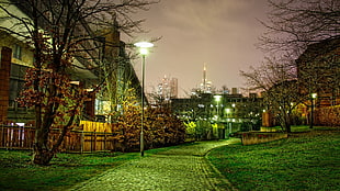 gray concrete pathway during night time view photo HD wallpaper