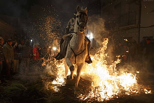 horse running on fire during night time HD wallpaper