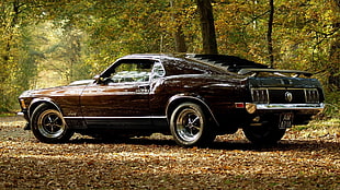 brown Ford Mustang parked near trees HD wallpaper